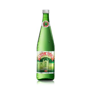 Gazirana mineralna voda 0.7l