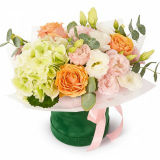 Композиція"Софі"