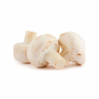 Гриби печериці