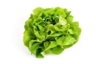 Zelena salata