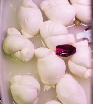 Mozzarrella fiordilatte fresca