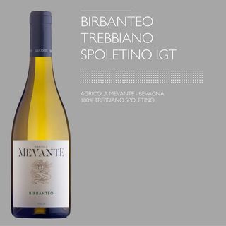 Birbanteo Trebbiano Spoletino IGT