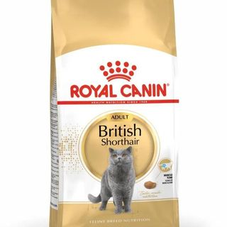 Royal Canin British Short Hair