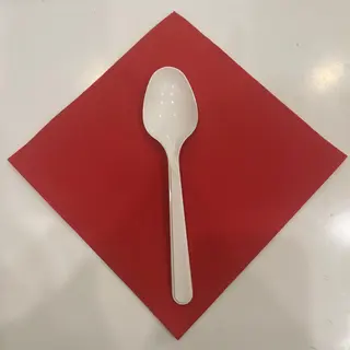 607. Cucchiaio e tovagliolo