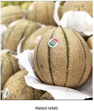 Melone retato  -1 pezzo 1 kg. ca.