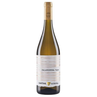 Falanghina Cantina Losito