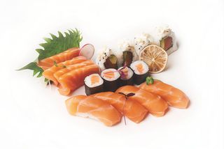 204 Salmon box 16 pezzi