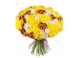 35 Хризантеми, Микс | 1 pieces