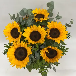 028-PARA TI!! MI SOL. 6 GIRASOLES