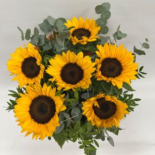 028-PARA TI!! MI SOL. 6 GIRASOLES