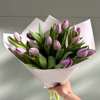 15 tulipanes morados 
