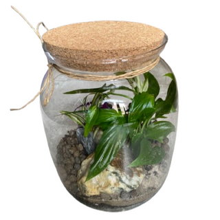 Kompozycja w szkle  S1