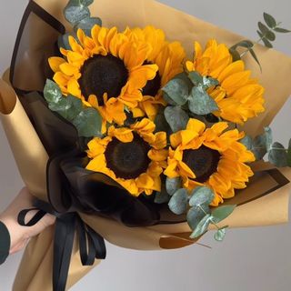 მზესუმზირები 