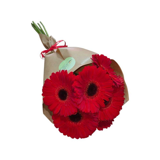 Gerberas Vermelhas