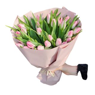 Bukiet z 15 Tulipanów z Kryzą 