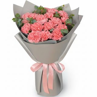 Букет "Pink vision" з 17 рожевих діантусів
