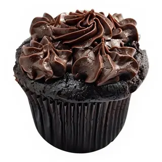 Cupcake Chocolate Extravaganza