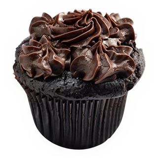 Cupcake Chocolate Extravaganza