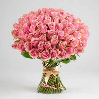 101 троянда Athena Royale (Кенія)