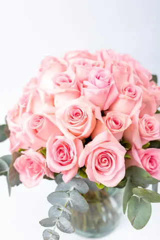 20 rosas rosadas + Jarrón de Regalo