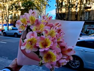 ასტრომერია