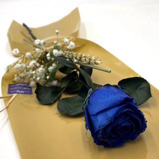 Rosa Azul Preservada