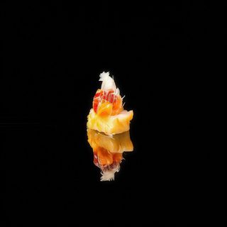 G7. Gunkan FLY SALMONE - 2 Pezzi