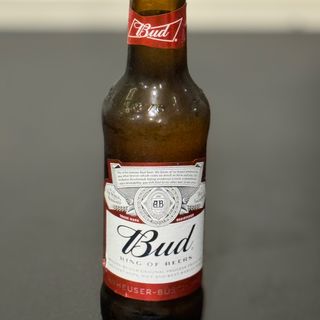 Bud 