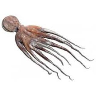 Pulpo Cocido Al Corte Patas De 300 Gr. Patas De 300 Gr.