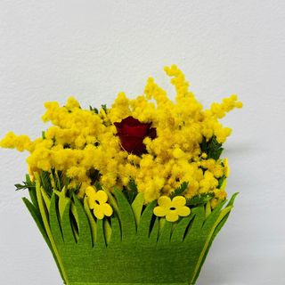 Scatola con mimosa e rosa 