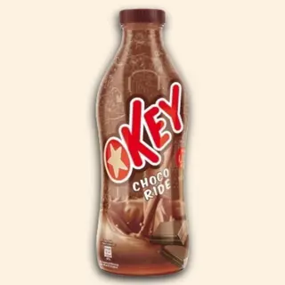 Batido Chocolate Botella 750 Ml.