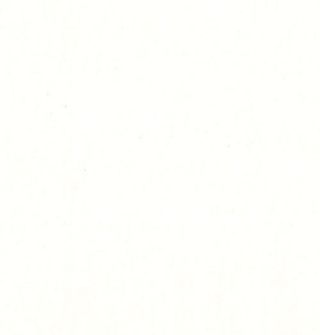 Carpaccio di branzino 9 pezzi