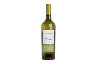 Vino bianco falanghina 75cl