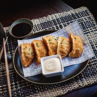 Gyozas Empanadas