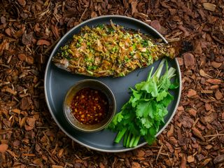 Dorado la Gratar cu sos unaghi