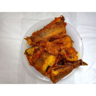 Croaker Fish