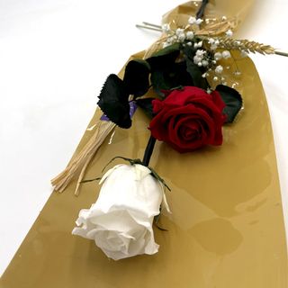 Dos Rosas Preservadas, Una Blanca Y Una Roja