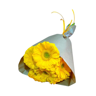 Gerberas Amarelas