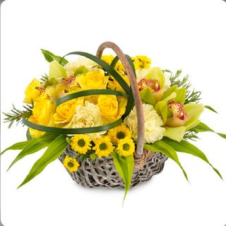 Alternativa alla Mimosa ( se sei allergico alla mimosa ) 