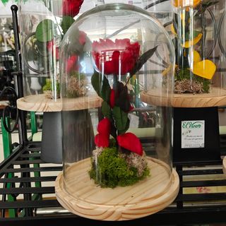 Cúpula Bella y Bestia Grande roja