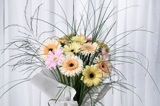Buchet 9 gerbera
