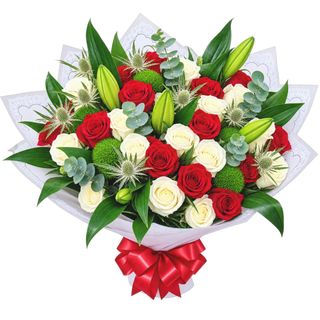 Scarlet Grace Elegance