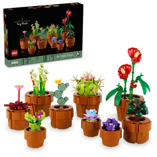 Plantute in ghiveci - 10329