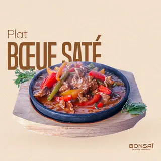 BOEUF SATE (Avec riz)