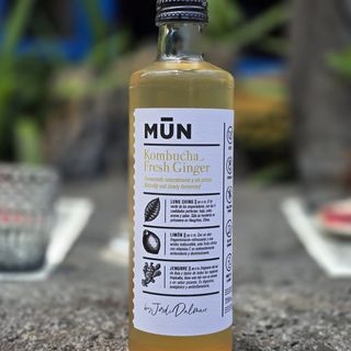 Kombucha MUN Jenjibre