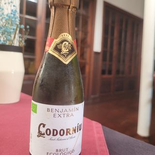 Vino Cava Mini