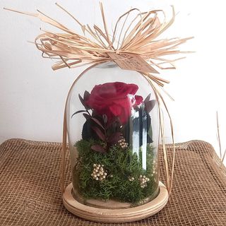 Mini Cúpula Rosa Eterna Roja