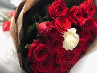 L'amour Unique – 20 Roses