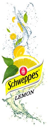 schweppes citron 33cl Can