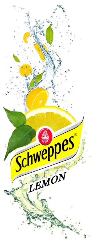 schweppes citron 33cl Can